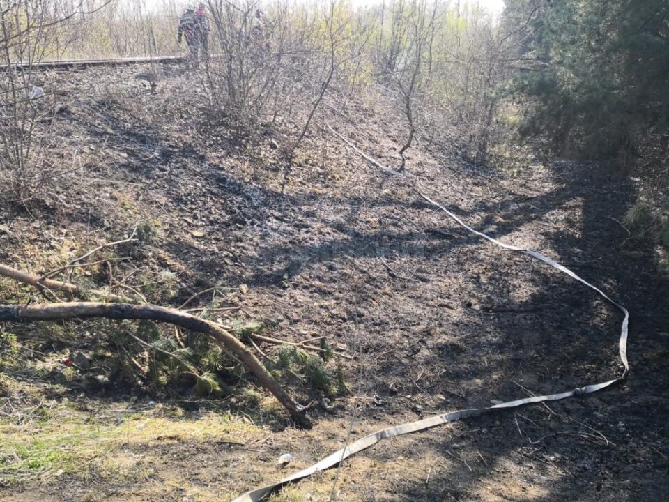 Incendiu în pădure, de la o țigară aruncată din tren