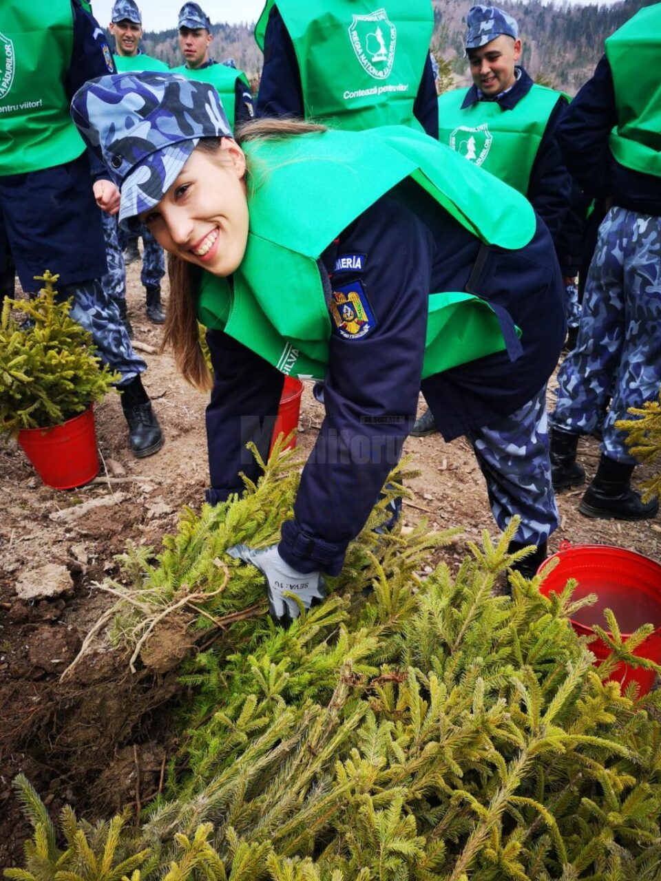 3.000 de puieți de molid și de brad, plantați de Ziua Jandarmeriei, la OS Mălini