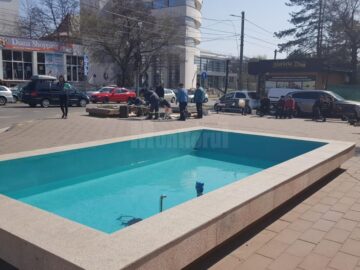 Fântâna arteziană de la Nordic, reparată și înconjurată de verdeață și flori