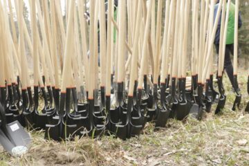 „Pădurea de mâine” a mai crescut cu 6160 de puieți de arbori, cu ajutorul voluntarilor 6 foto Ema Motrescu