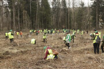 „Pădurea de mâine” a mai crescut cu 6160 de puieți de arbori, cu ajutorul voluntarilor 3 foto Ema Motrescu