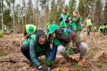 „Pădurea de mâine” a mai crescut cu 6160 de puieți de arbori, cu ajutorul voluntarilor