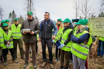 „Pădurea de Mâine” a mai crescut cu 6.160 de puieți de arbori, plantați la Arbore.