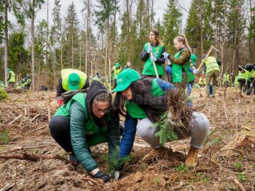 „Pădurea de Mâine” a mai crescut cu 6.160 de puieți de arbori, plantați la Arbore