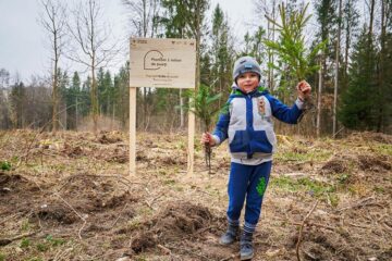 „Pădurea de Mâine” a mai crescut cu 6.160 de puieți de arbori, plantați la Arbore