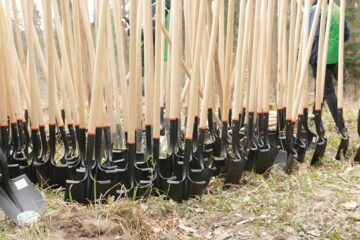 „Pădurea de Mâine” a mai crescut cu 6.160 de puieți de arbori, plantați la Arbore. Foto: Ema Motrescu