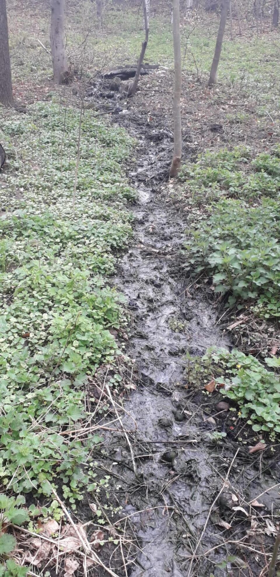 La circa 15 metri de pe dealul care duce spre strada Ștefăniță Vodă curgea un pârâiaș colorat La circa 15 metri de pe dealul care duce spre strada Ștefăniță Vodă curgea un pârâiaș colorat