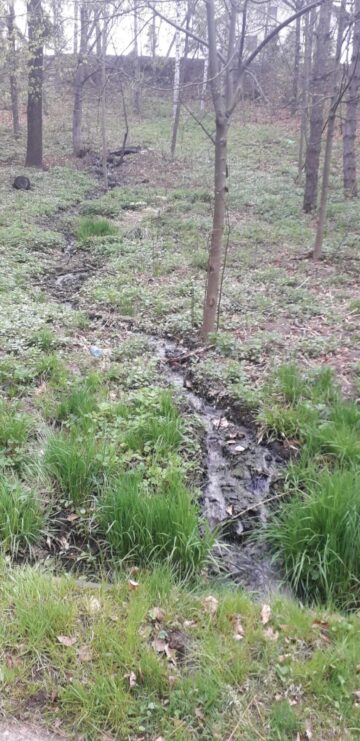 Parcul Șipote s-a transformat într-o adevărată hazna după ce o canalizare aparținând ACET a refulat