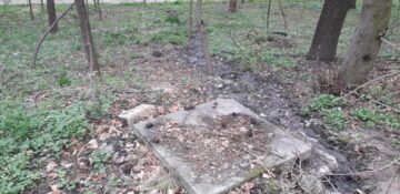 Parcul Șipote s-a transformat într-o adevărată hazna după ce o canalizare aparținând ACET a refulat