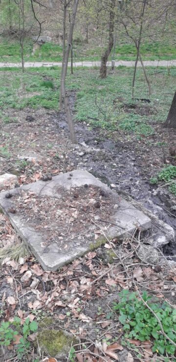 Parcul Șipote s-a transformat într-o adevărată hazna după ce o canalizare aparținând ACET a refulat