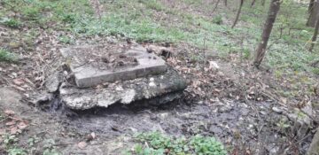 Parcul Șipote s-a transformat într-o adevărată hazna după ce o canalizare aparținând ACET a refulat