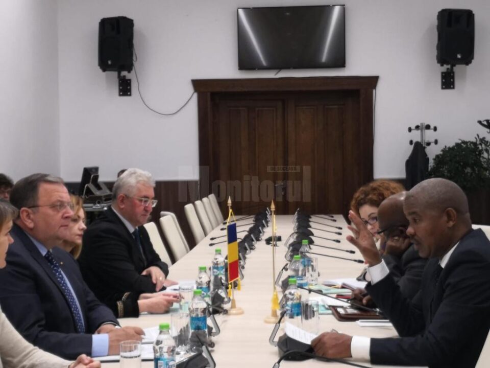 Înfrățire între Suceava și un oraș din Africa de Sud