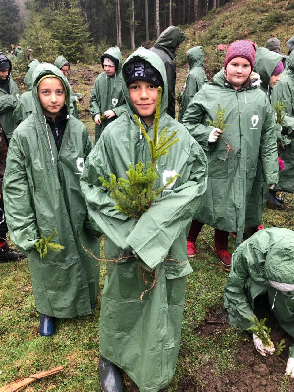 1.200 de puieți de molid, brad și larice, plantați de elevii din Stulpicani, Gemenea și Ostra