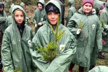 1.200 de puieți de molid, brad și larice, plantați de elevii din Stulpicani, Gemenea și Ostra