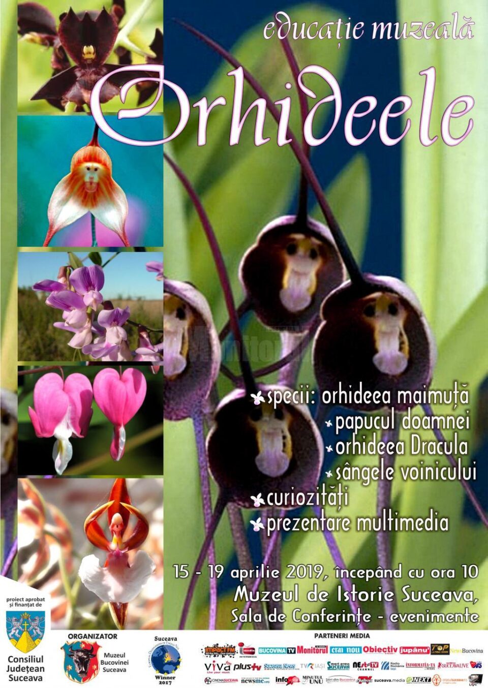 Lecția „Orhideele”, Muzeul de Științe ale Naturii din Suceava Lecția „Orhideele”, Muzeul de Științe ale Naturii din Suceava