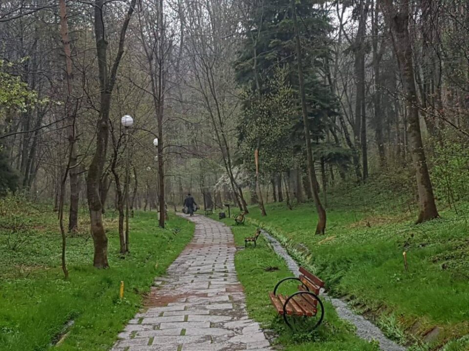 Actiune de ecologizare a Parcului Sipote, inițiată de Ocolul Silvic Pătrăuți 5
