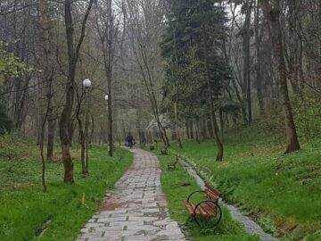 Acțiuni de igienizare a parcului Șipote, inițiate de Direcția Silvică Suceava