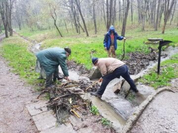 Acțiuni de igienizare a parcului Șipote, inițiate de Direcția Silvică Suceava