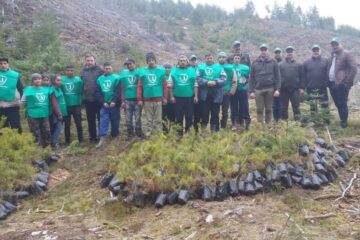 „A venit timpul plantării molidului” la Ocolul Silvic Breaza