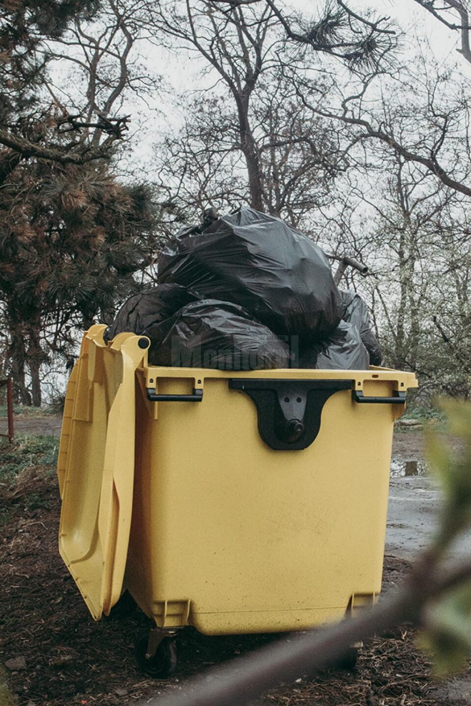 Campanie de ecologizare a zonei Zamca