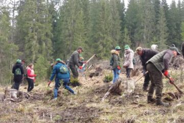 Activitate de împădurire desfășurată de voluntarii Colegiului Tehnic de Industrie Alimentară Suceava