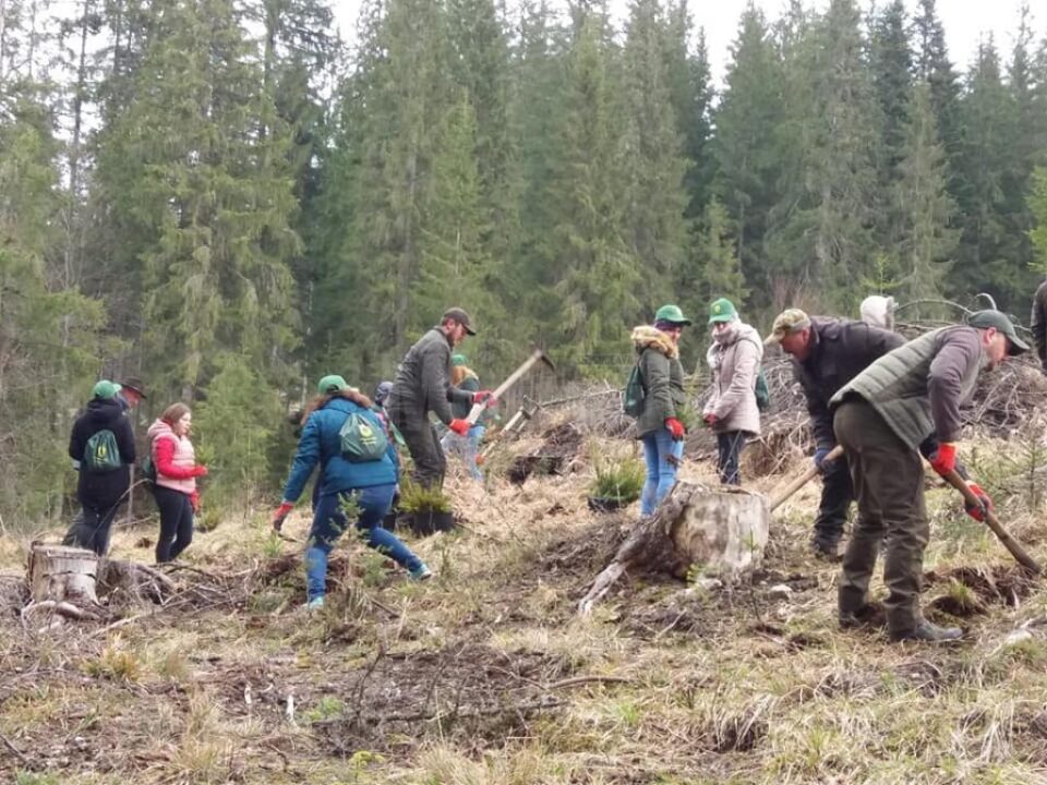 Activitate de împădurire desfășurată de voluntarii Colegiului Tehnic de Industrie Alimentară Suceava