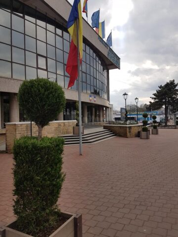 Arbori și arbuști ornamentali, în ghivece, utilizați pentru înfrumusețarea Sucevei