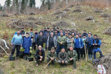 Preoții din Protoieria Fălticeni au plantat 1.000 de puieți de rășinoase