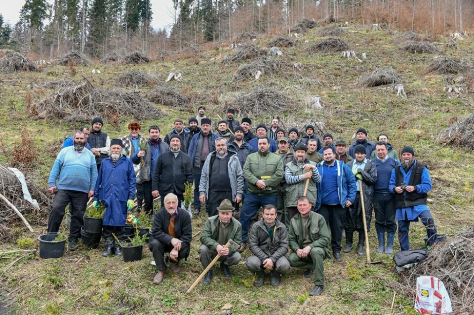 Preoții din Protoieria Fălticeni au plantat 1.000 de puieți de rășinoase