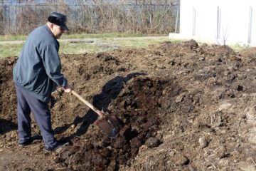 Gunoiul de grajd, îngrășământ natural pentru legumele produse în zona serelor din Suceava