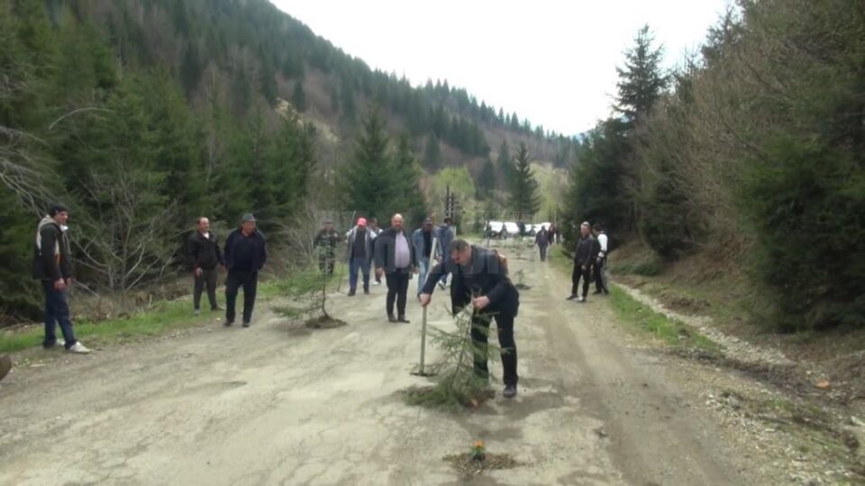 Protestul locuitorilor din orașul Broșteni