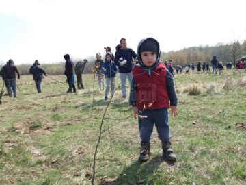 Peste 500 de voluntari au participat la acțiunea de împădurire „Pădurea copilăriei”
