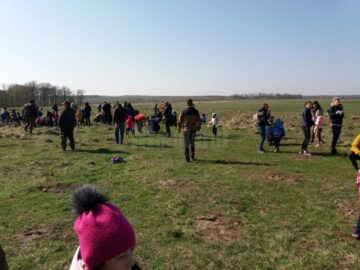 Peste 500 de voluntari au participat la acțiunea de împădurire „Pădurea copilăriei”