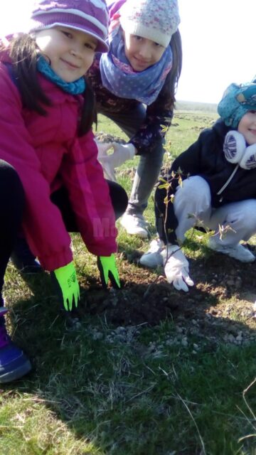 Peste 500 de voluntari au participat la acțiunea de împădurire „Pădurea copilăriei”