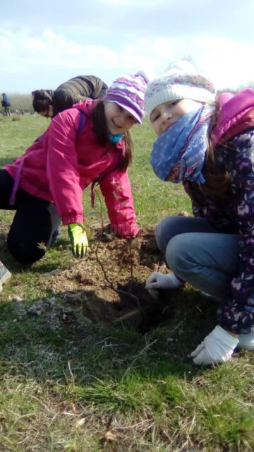 Peste 500 de voluntari au participat la acțiunea de împădurire „Pădurea copilăriei”