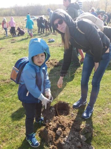 Peste 500 de voluntari au participat la acțiunea de împădurire „Pădurea copilăriei”