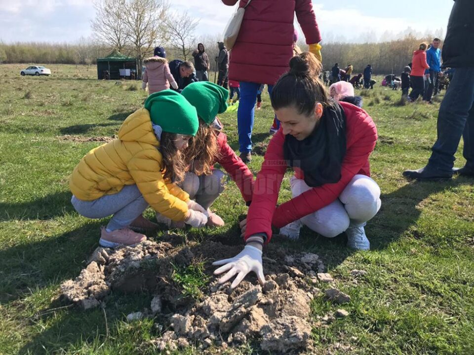 Acțiune de împădurire de la Adâncata, „Pădurea copilăriei”