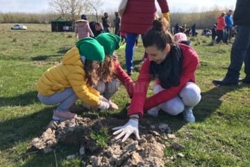 Acțiune de împădurire de la Adâncata, „Pădurea copilăriei”