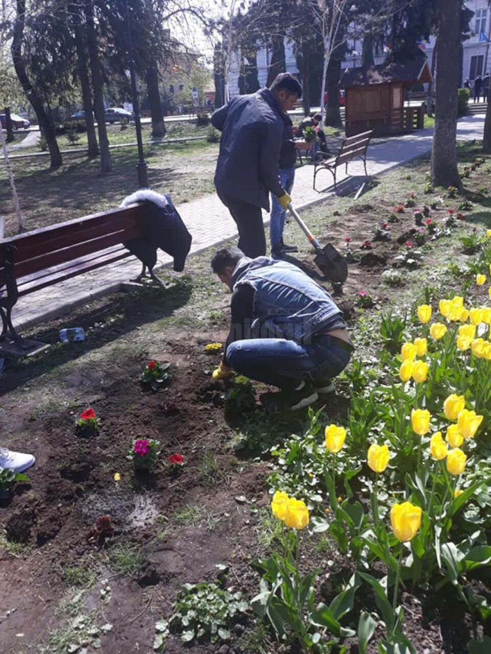 Activități socio-culturale, cu refugiații de la Centrul din Rădăuți