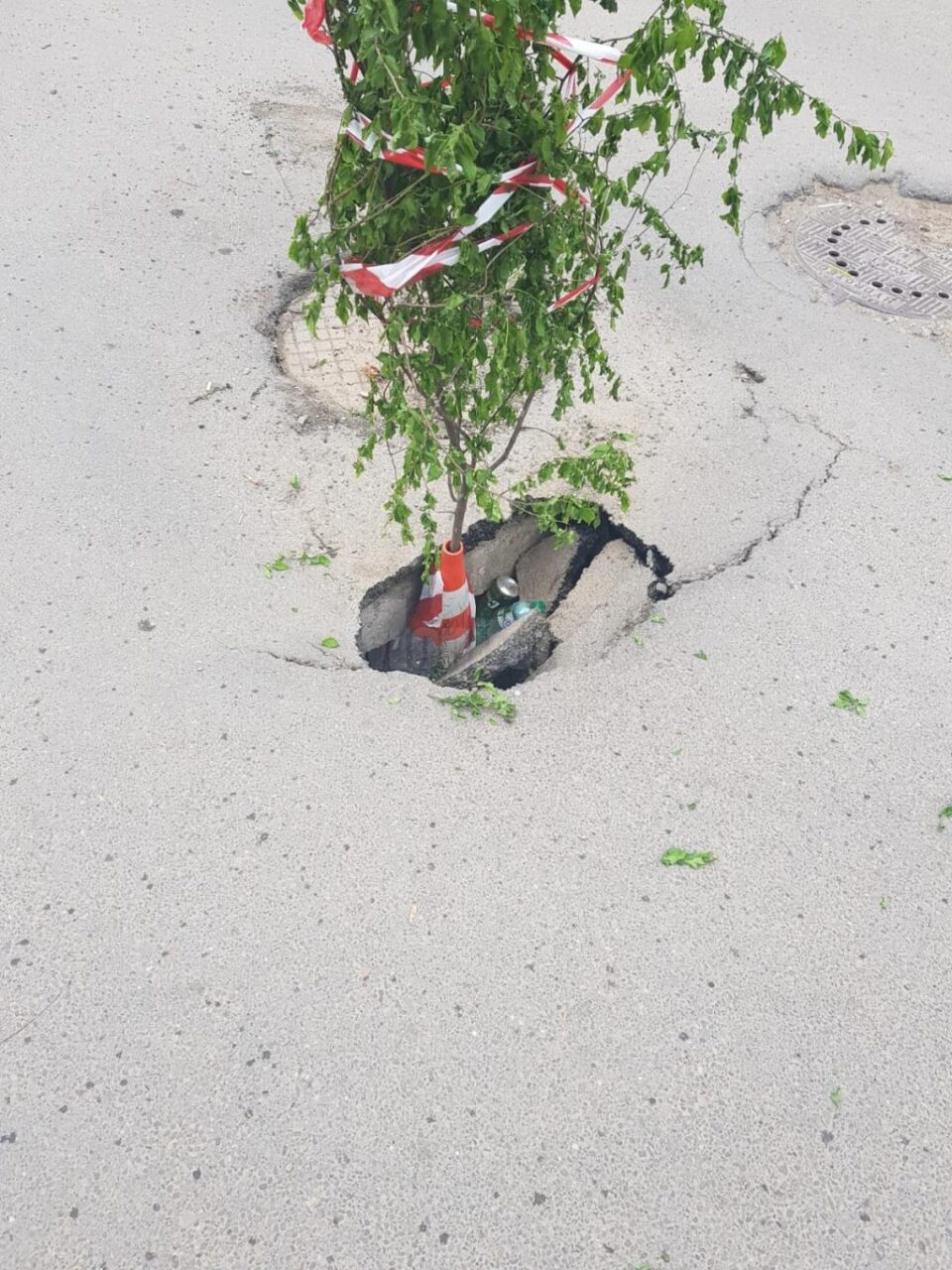 Groapă semnalizată cu un copăcel