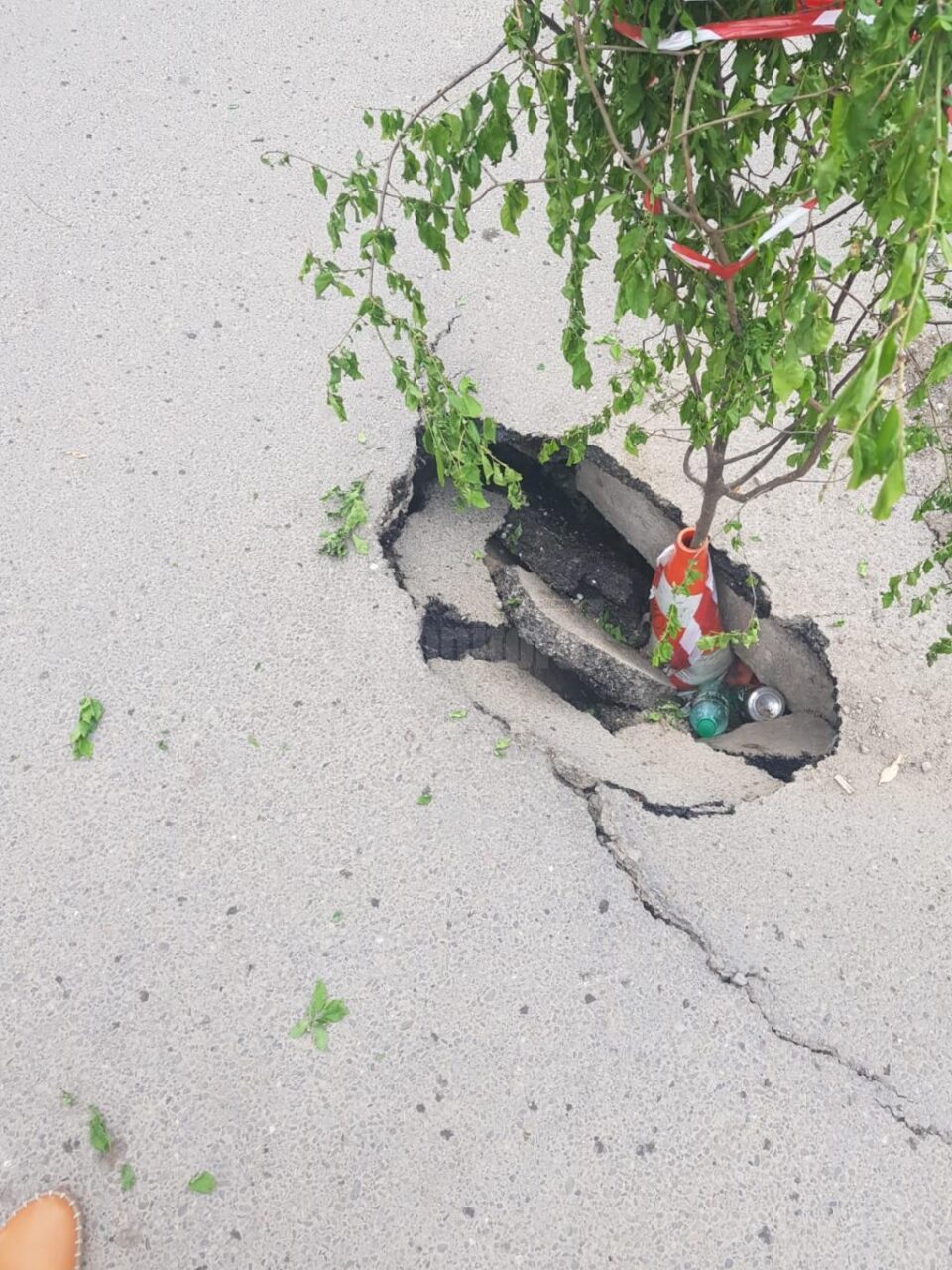 Groapă semnalizată cu un copăcel