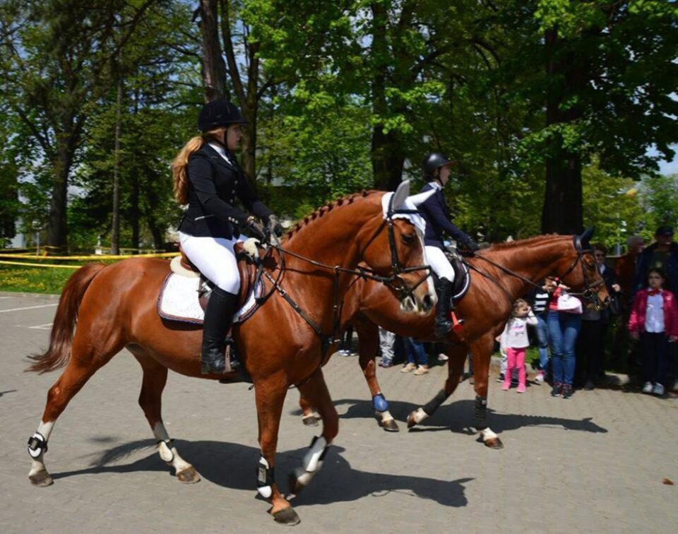 Parada Ecvestră din Ținutul Rădăuților