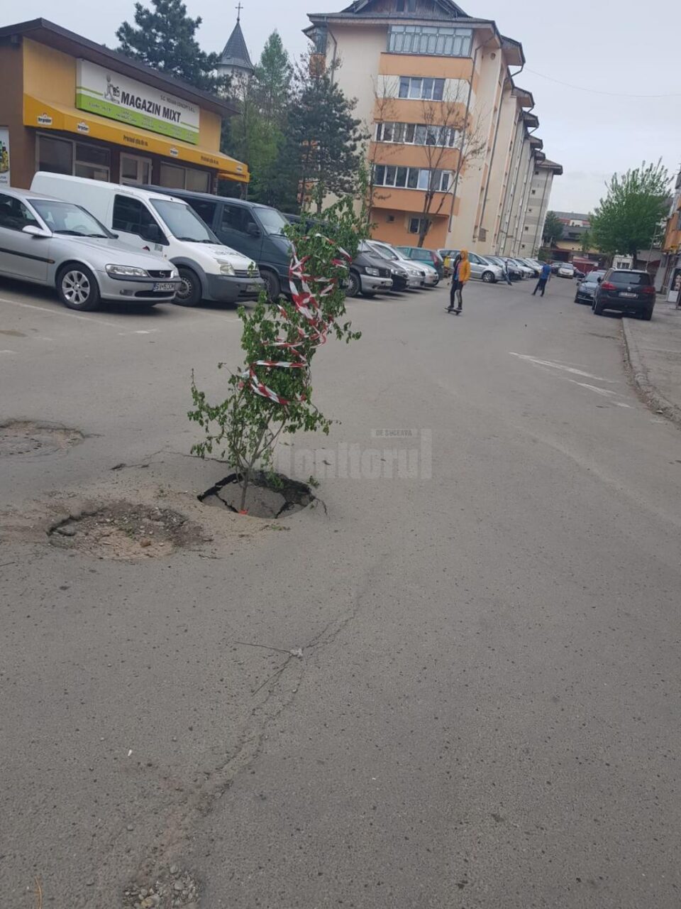 Groapă semnalizată cu un copăcel