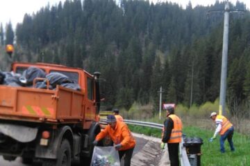Gunoaie strânse din zona de munte a județului