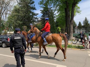 Paradă ecvestră pe 2 mai, la Rădăuți