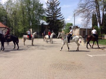 Paradă ecvestră pe 2 mai, la Rădăuți