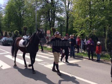 Paradă ecvestră pe 2 mai, la Rădăuți