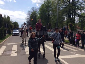 Paradă ecvestră pe 2 mai, la Rădăuți