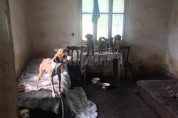 Imagini de coșmar în casa bătrânei