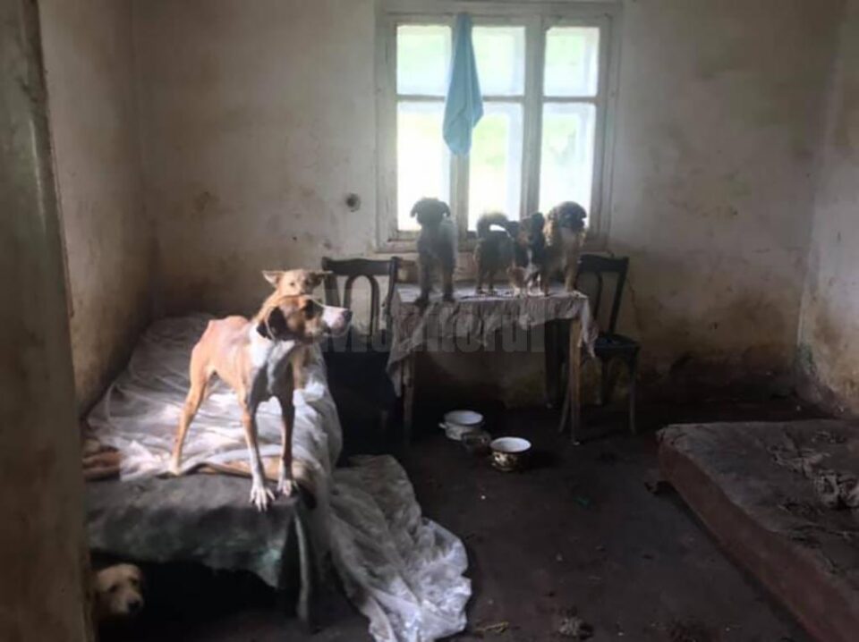 Imagini de coșmar în casa bătrânei
